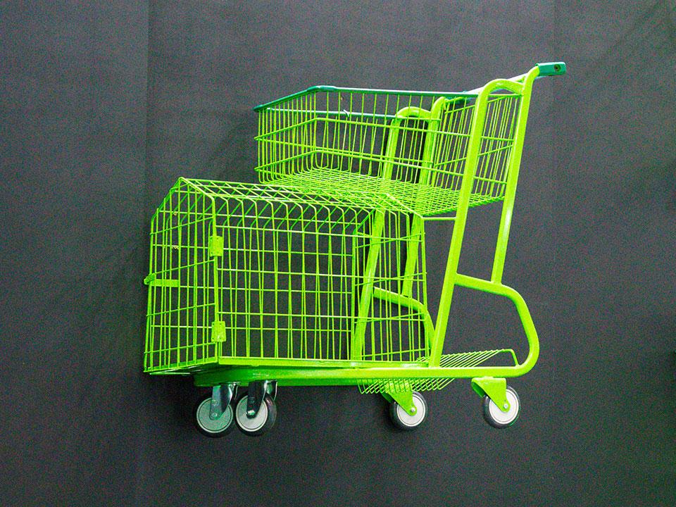 Carrinhos para pet seguros e confortáveis