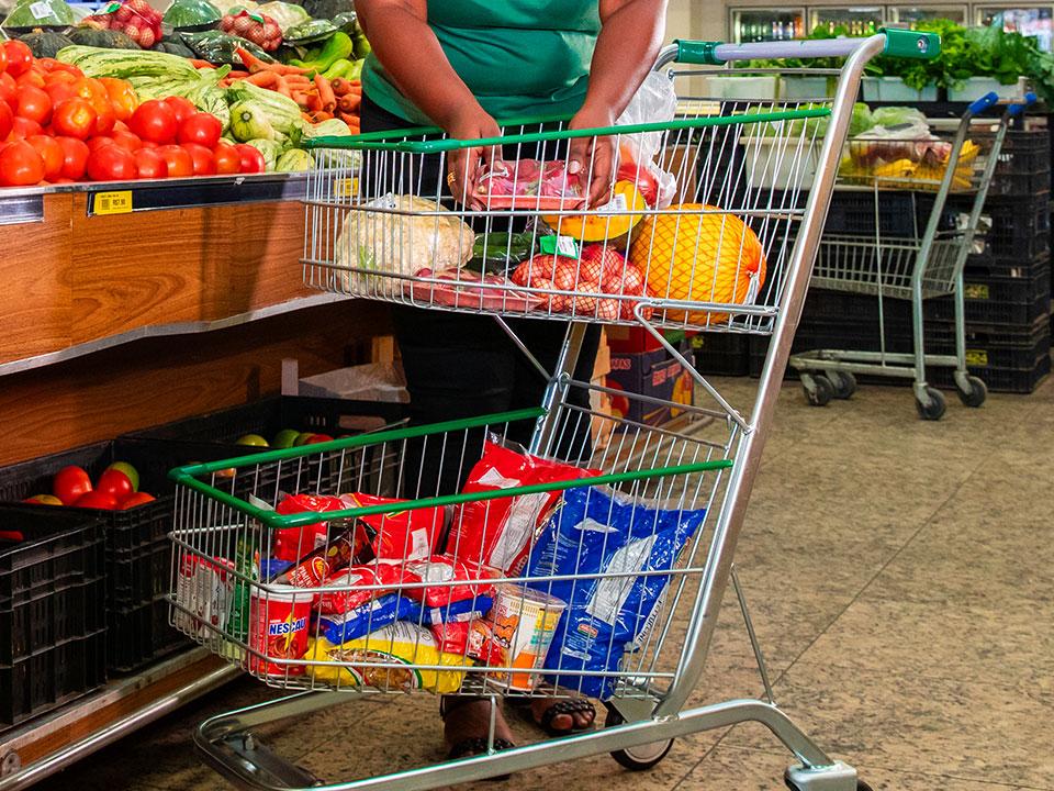 Carrinho de um e Dois Andares para Supermercados e Atacarejos